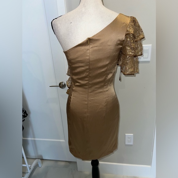 IvaNova silk/Chiffon dress - Picture 4 of 5